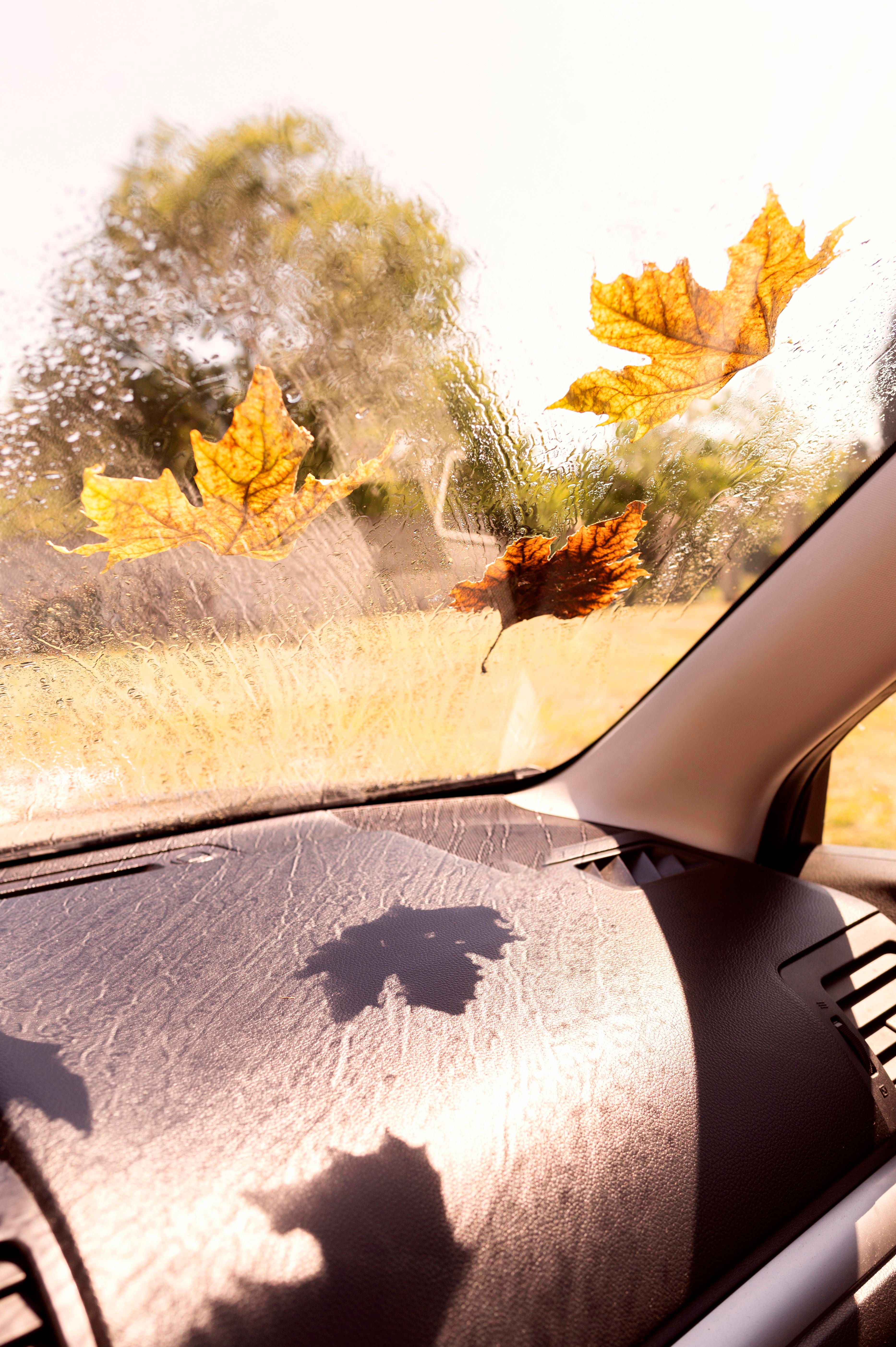 Autumn driving safety tips for private hire drivers